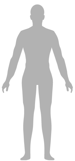 body